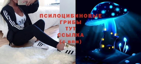 PSILOCYBIN Ессентукская