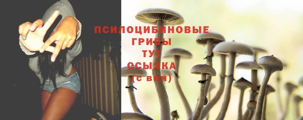 PSILOCYBIN Ессентукская