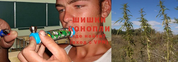 PSILOCYBIN Ессентукская
