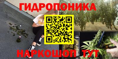 гашишное масло Аргун