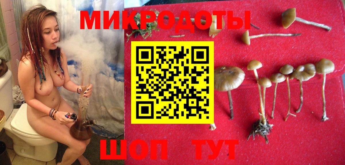 Псилоцибиновые грибы MAGIC MUSHROOMS  Белогорск  купить закладку  Галлюциногенные грибы Magic Shrooms 