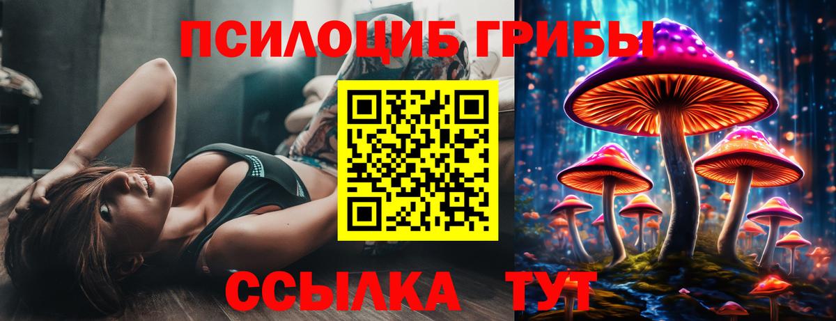 Галлюциногенные грибы Psilocybine cubensis  Галлюциногенные грибы Magic Shrooms  Белогорск  Вход с VPN 